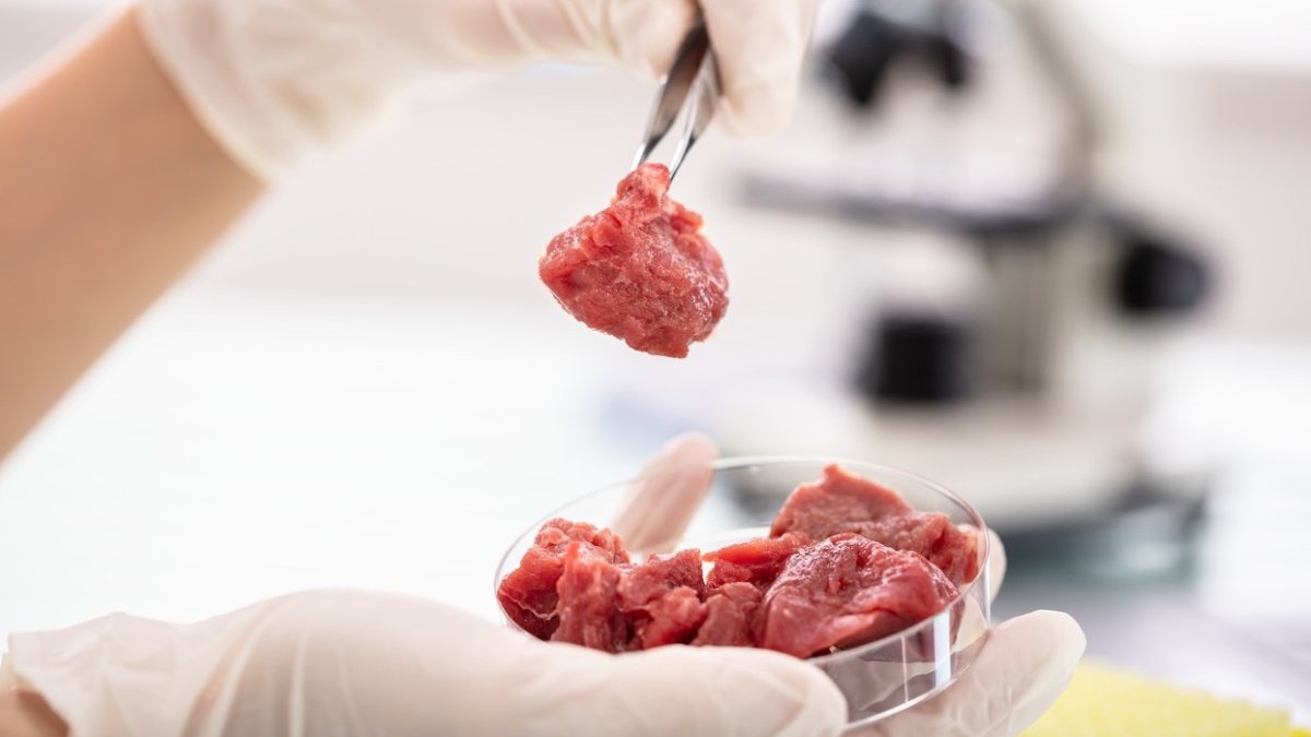 carne-crescuta-laborator-buna-consum-802209