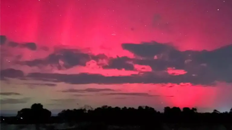aurora-boreala-in-timis-e1728627984132